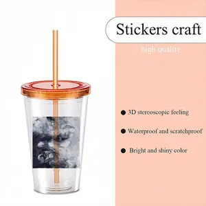 Charcoal Sky Double Layer Plastic Cup