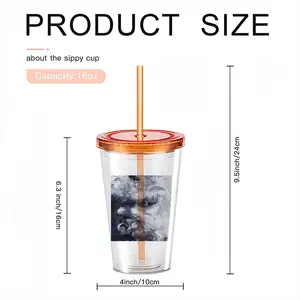 Charcoal Sky Double Layer Plastic Cup