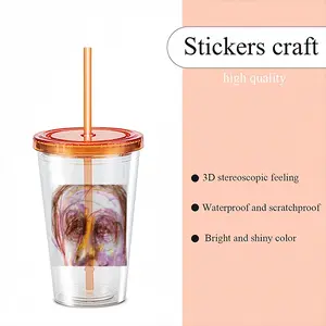 Why Dont You Like Me? Double Layer Plastic Cup