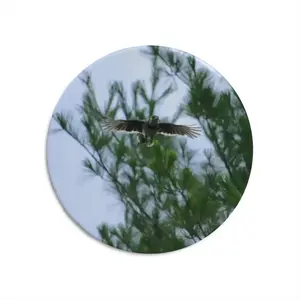 Blue Jay In Flight Round Iron Painting