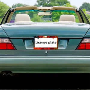 Desire Japanese License Plate Frame (Wide)