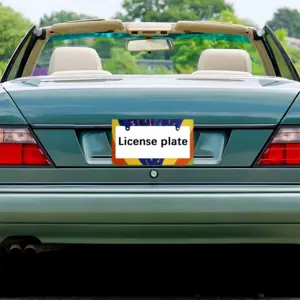 Freestyle Japanese License Plate Frame (Wide)