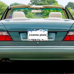 Fei Pai Japanese License Plate Frame (Wide)