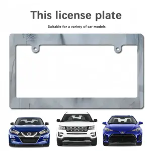 Silence Ii Japanese License Plate Frame (Wide)