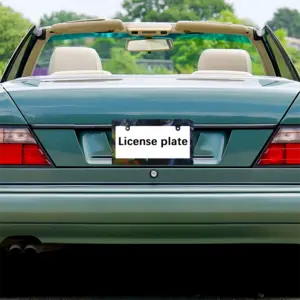 Abroad Japanese License Plate Frame (Wide)