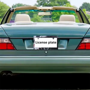 Liar Japanese License Plate Frame (Wide)