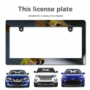 Hope Japanese License Plate Frame (Wide)