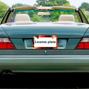 Pugilism Japanese License Plate Frame (Wide)