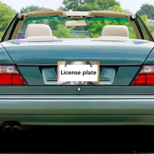 Al Pacino Japanese License Plate Frame (Wide)