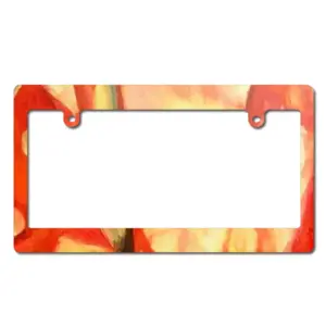 Color Game Japanese License Plate Frame (Wide)