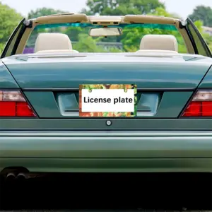 Plate 2 Japanese License Plate Frame (Wide)