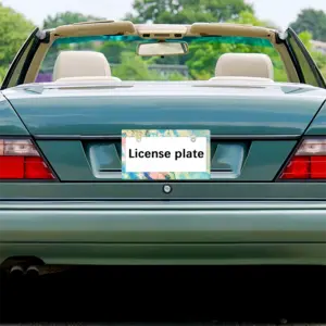 Impact Japanese License Plate Frame (Wide)