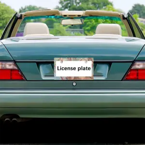 Trees Near A Lake Japanese License Plate Frame (Wide)