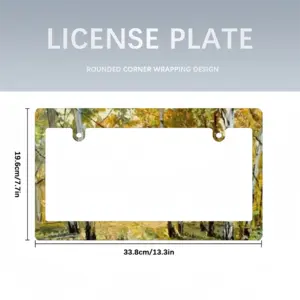 Birch Tree Forest Trail Japanese License Plate Frame (Wide)