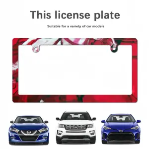 Rae Japanese License Plate Frame (Narrow)