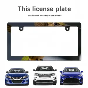 Hope Japanese License Plate Frame (Narrow)