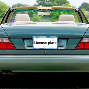 Swimming Pool Japanese License Plate Frame (Narrow)