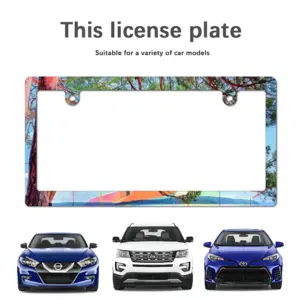 Ease Japanese License Plate Frame (Narrow)