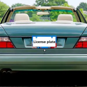 True Story Marina Abramovich And Ulay Japanese License Plate Frame (Narrow)