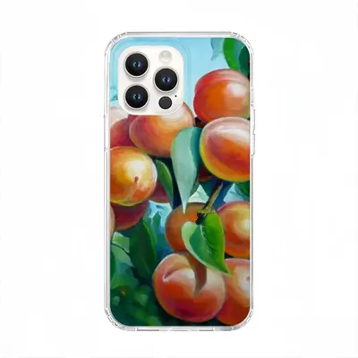 Apricot Branch iPhone14 Pro Max Phone Case (Silicone)