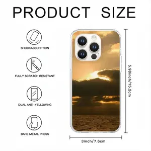 Africa iPhone14 Pro Phone Case (Silicone)