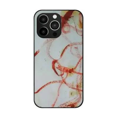 Circus 2 iPhone14 Pro Phone Case (Tempered Film)