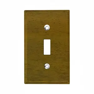 Brushed Medallion Switch Panel (Single Hole)