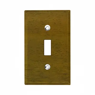 Brushed Medallion Switch Panel (Single Hole)