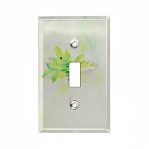 Start Afresh Switch Panel (Single Hole)