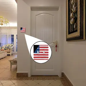 Pubic Flag United States Switch Panel (Double Hole)