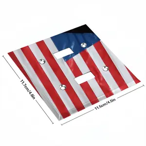 Pubic Flag United States Switch Panel (Double Hole)