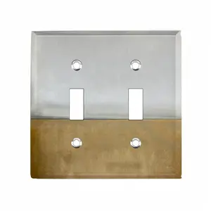 Untitled 21E Switch Panel (Double Hole)