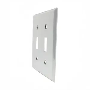 White Switch Panel (Double Hole)