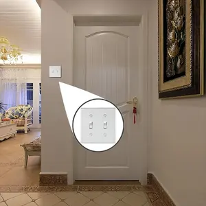 White Switch Panel (Double Hole)