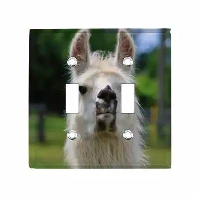 Llama Look Switch Panel (Double Hole)