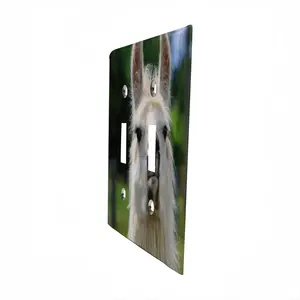 Llama Look Switch Panel (Double Hole)