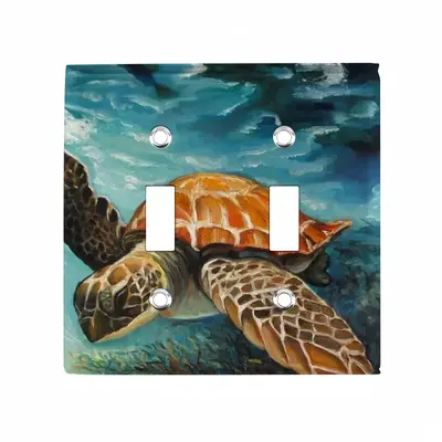 Caribbean Turtle Ii Switch Panel (Double Hole)