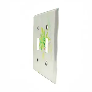 Start Afresh Switch Panel (Double Hole)