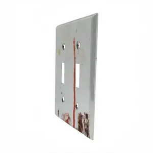 Circus 1 Switch Panel (Double Hole)