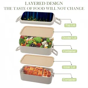 Energy Landscape Bento Box