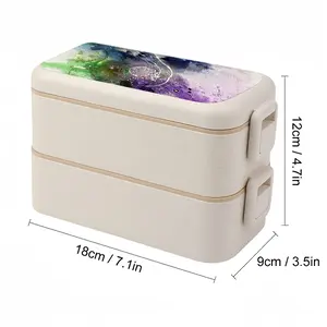 Rainbow Studies Number 4 Bento Box