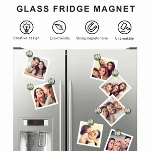 Aloe Fridge Magnet