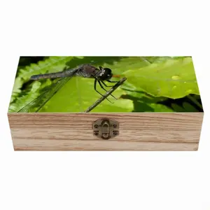 New Hampshire Dragon Fly Wooden Storage Box