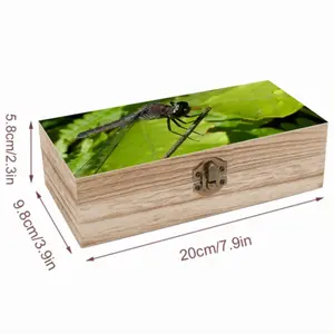 New Hampshire Dragon Fly Wooden Storage Box