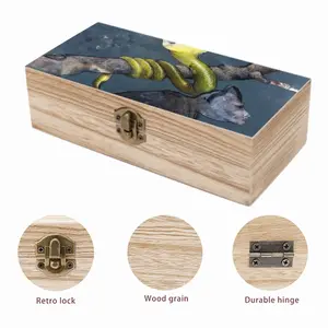 Worm Wooden Storage Box