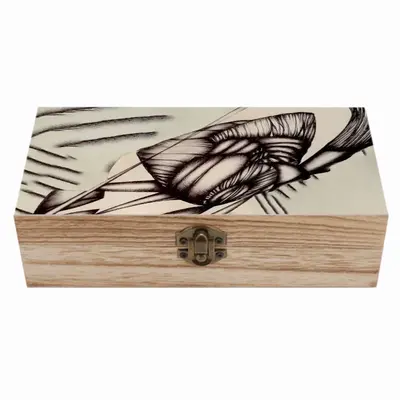 Sd Space 3 Evolution 6 Wooden Storage Box