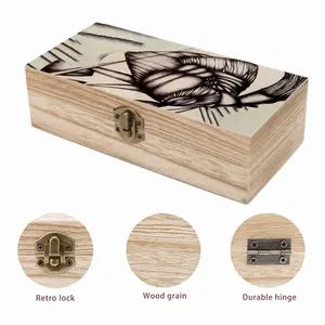 Sd Space 3 Evolution 6 Wooden Storage Box