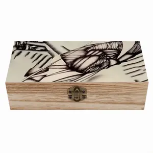 Sd Space 3 Evolution 5 Wooden Storage Box