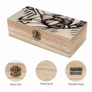 Sd Space 3 Evolution 5 Wooden Storage Box