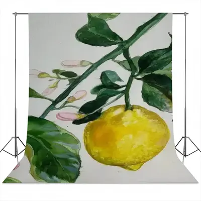 Lemon Branch Photography Cloth